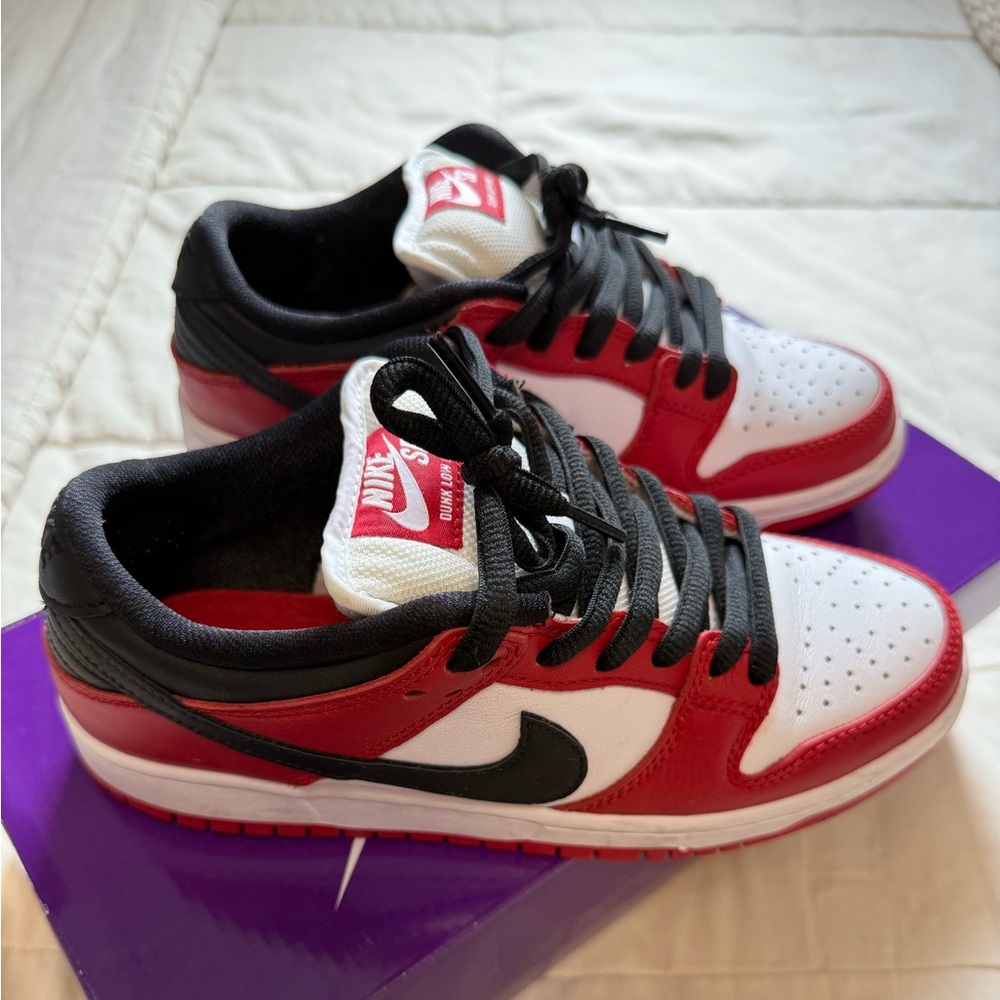 Nike SB Dunk Low Pro